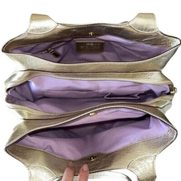 Coach Lexi Cream Silver Metallic Straw Leather Limited Edition Butterfly Bag Set - Picture 8 of 14